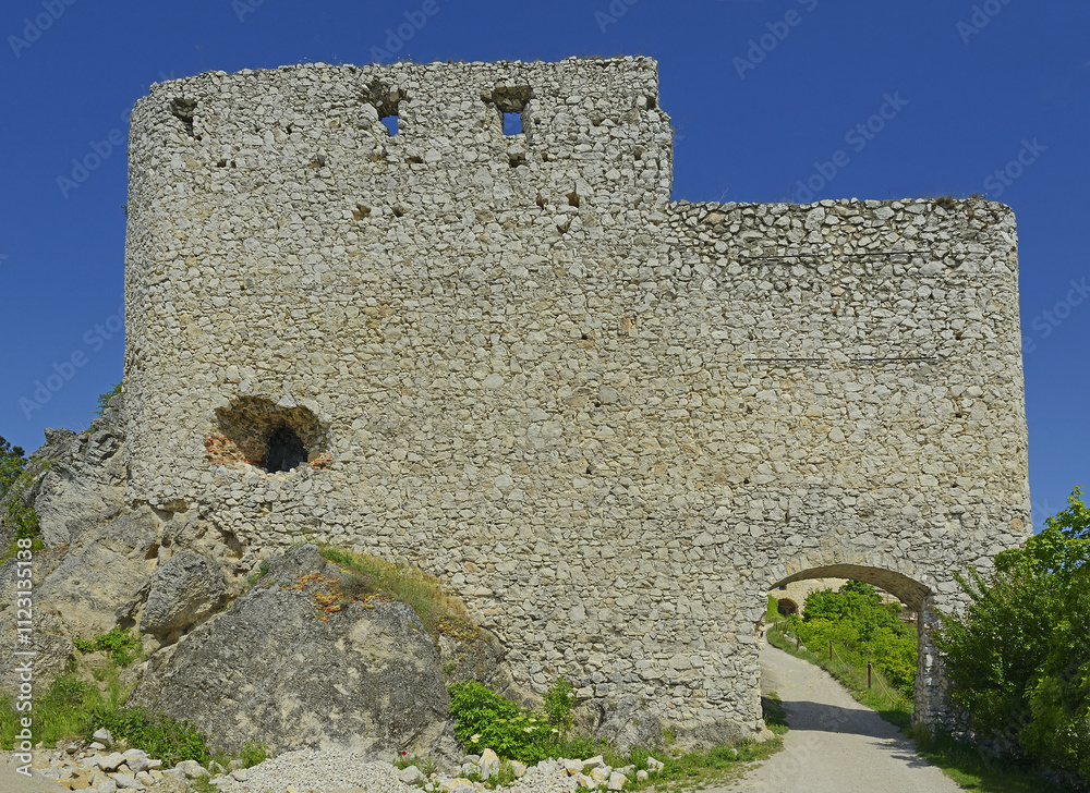 Ruin of castle Cachtice - Slovakia