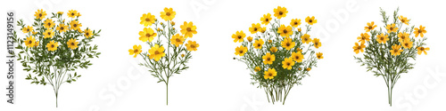 Bright Yellow Coreopsis Bush in Style   Lush and Vibrant Floral Arrangement in a Natural Garden Setting photo