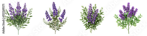 Lavender Flower Bush in a Scenic Rural Landscape  Beautiful purple blooming vetch plant with lush foliage growing in a natural pastoral setting