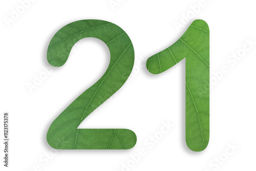 21, number shape with leaf motif design isolated on transparent background