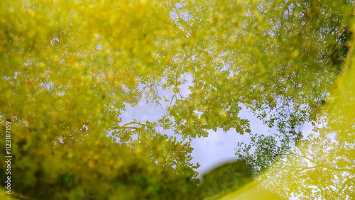 Reflections of golden autumn leaves dance atop the surface of Air Burial, a cylindrical glass sculpture by Roni Horn, on display at the Pola Museum of Art in Hakone, Japan.