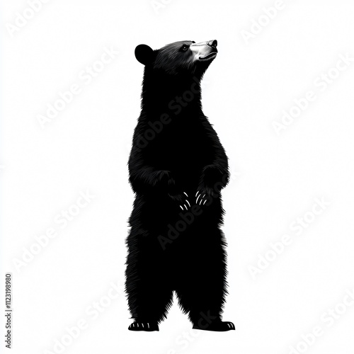 A stylized black bear standing upright against a white background, showcasing its distinctive features and posture.
