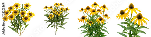 A lush and vibrant prairie coneflower bush in full bloom its bright yellow petals and green foliage creating a captivating natural scene against a bright serene backdrop