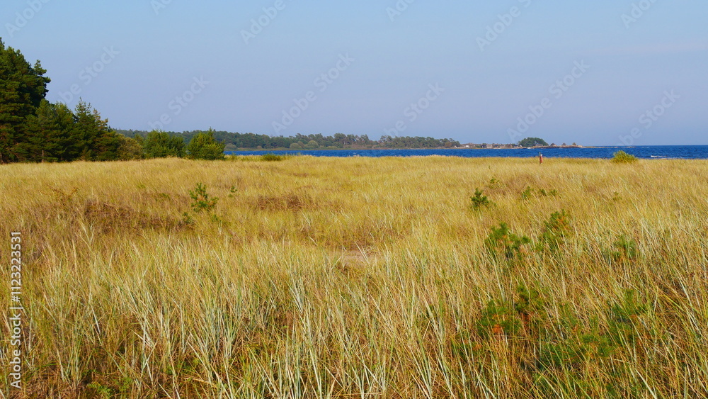 Gotland Gotland