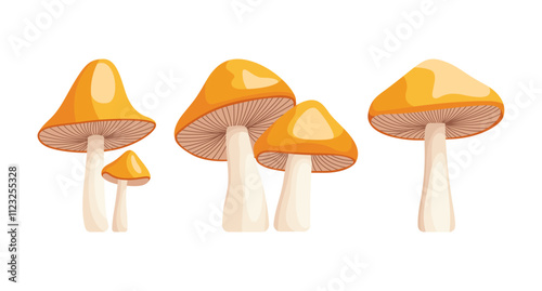 Four orange mushrooms of varying sizes are depicted.