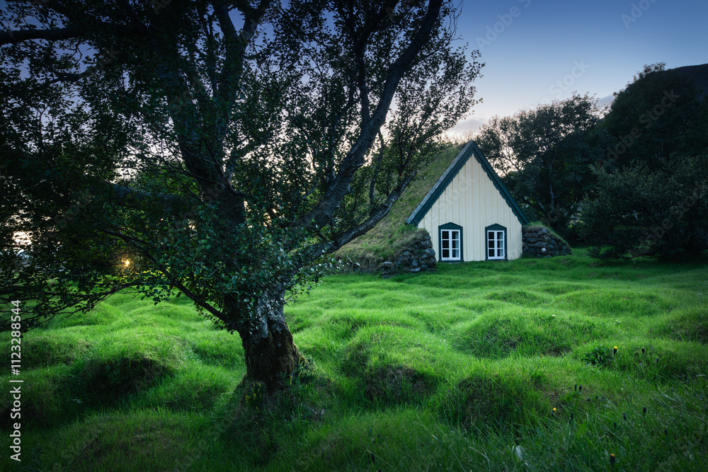 Fototapeta premium house in the woods