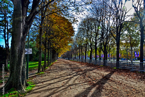 Paris, France - October 26th 2019 : Pavement down the Champs-Elysees avenue, which looks like a park. photo