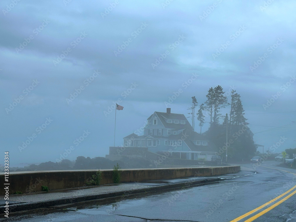 Fototapeta premium Foggy day 