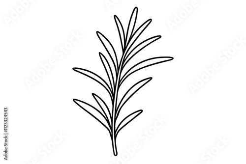 Rosemary line art vector illustration