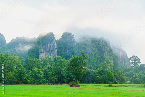 Lush green landscape with misty mountains and trees in background, creating serene and tranquil atmosphere