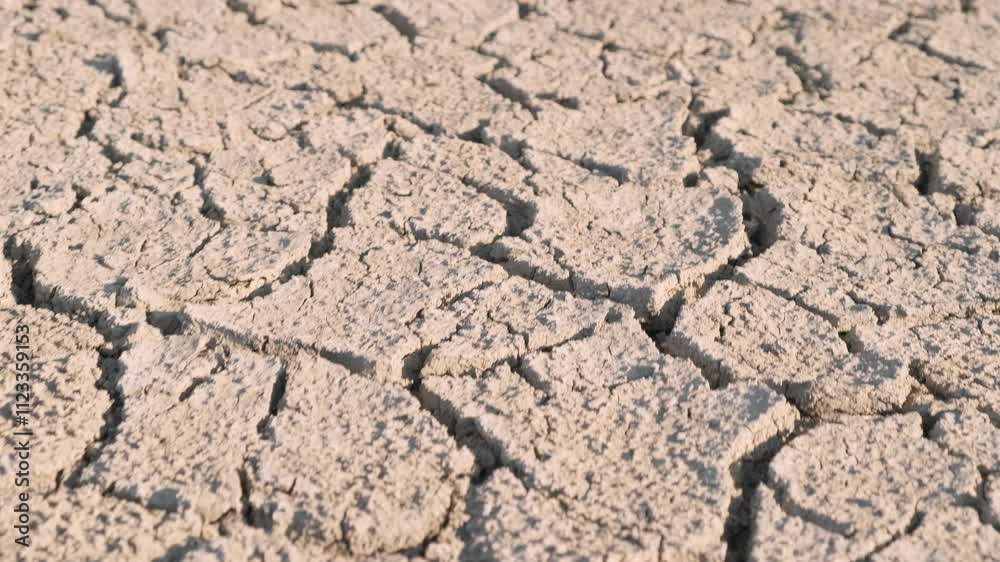 dry cracked earth close-up, moving, slow motion
dry cracked earth close-up, moving, slow motion