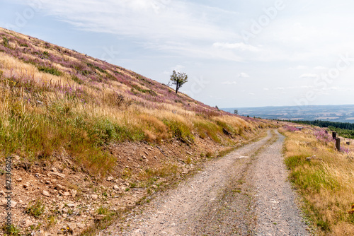 Landschaft im Harz