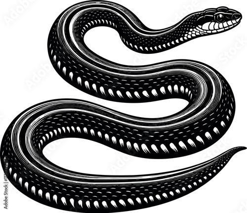 Garter Snake Silhouette - Black Vector Cricut Design for T-Shirt Printing