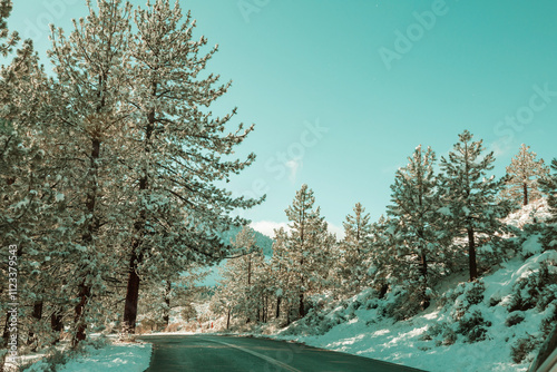 Winter road photo