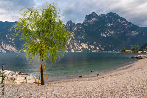 Flock of ducks on pebble beach in idyllic lakeside town Nago-Torbole, Lake Garda, Trentino, Italy. Surrounded by steep rugged mountains of Garda Prealps. Summer travel destination. Wildlife watching photo