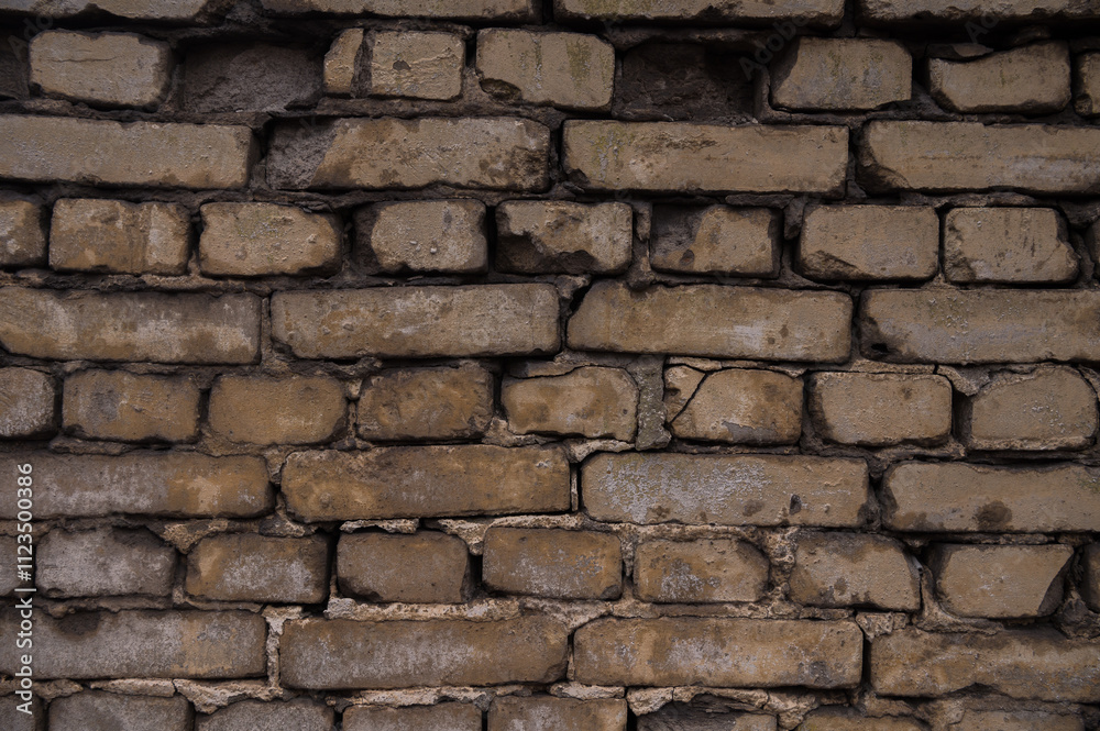 Obraz premium view of the old brick wall