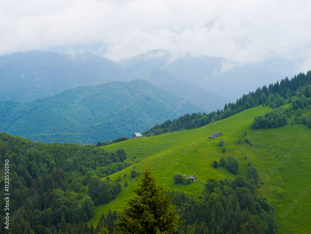 Fototapeta premium Mountain range at the west of Romania. Wonderful springtime landscape in mountains. Panorama of beautiful countryside of Romania.