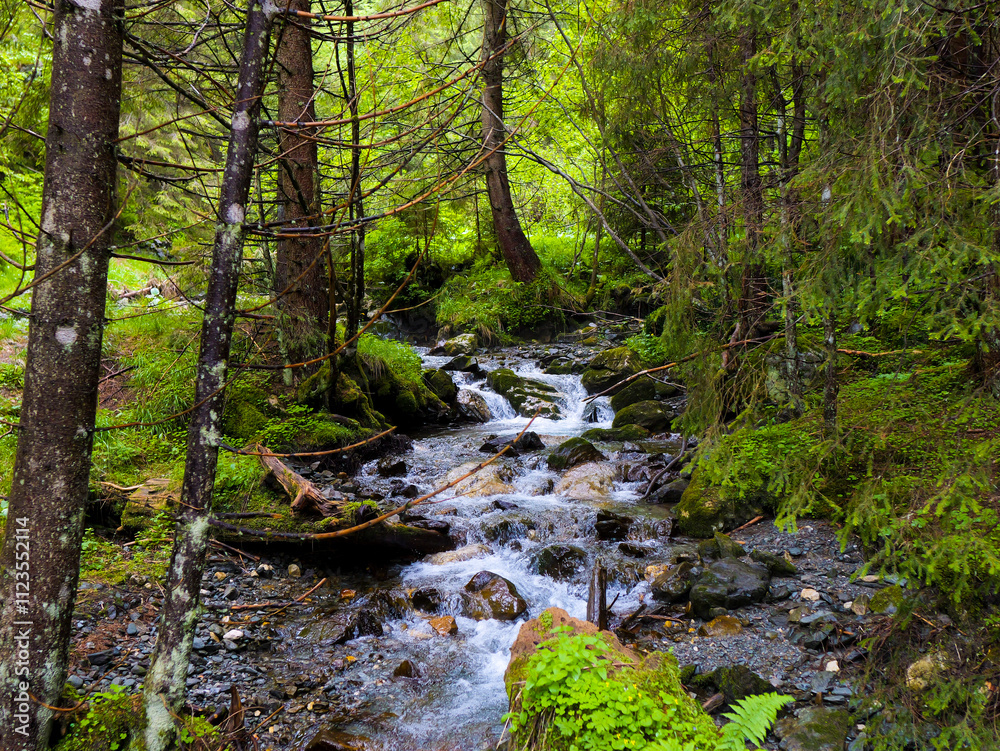 Fototapeta premium River with wonderful springtime landscape in mountains. Wild river waterfall in Romanian mountain forest.