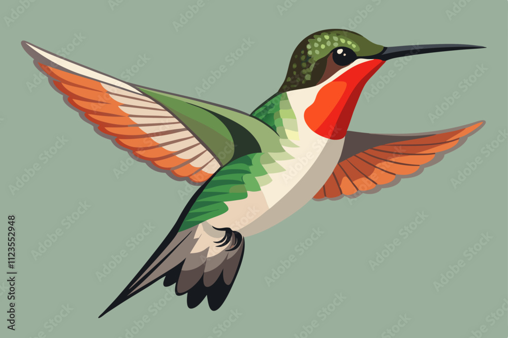 Obraz premium Ruby-throated Hummingbird vector art illustration.