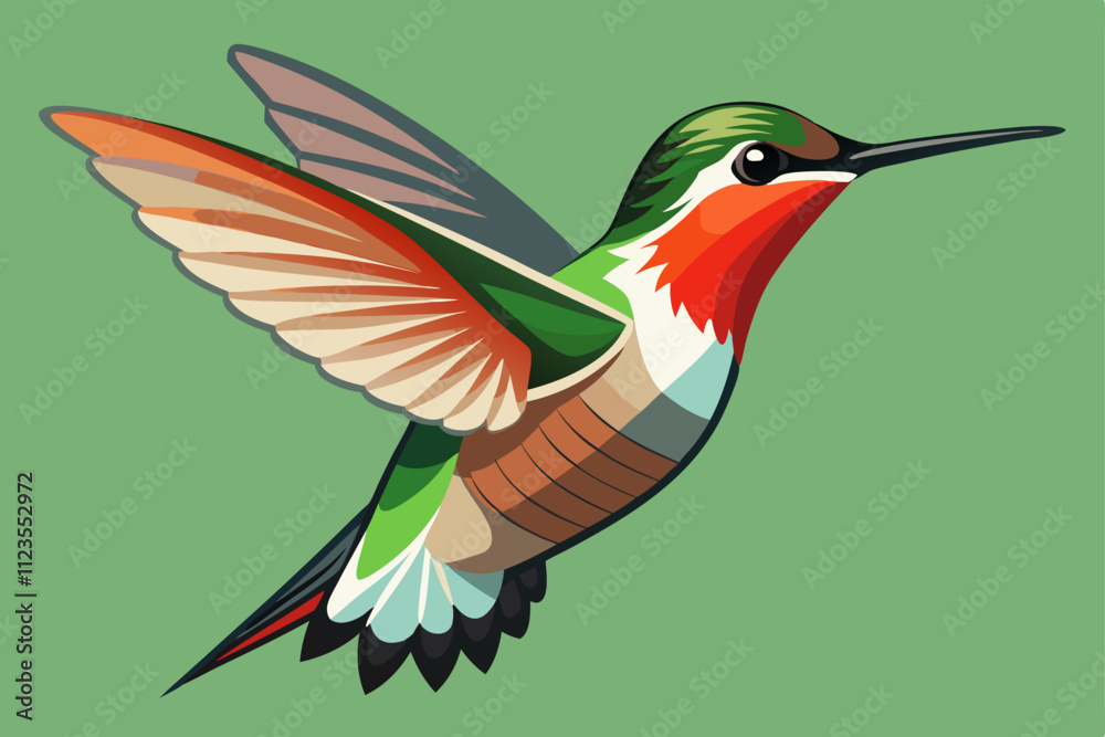 Obraz premium Ruby-throated Hummingbird vector art illustration.