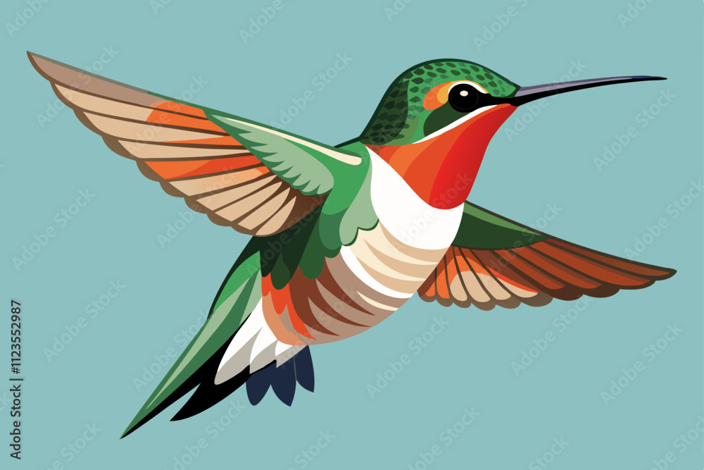 Fototapeta premium Ruby-throated Hummingbird vector art illustration.
