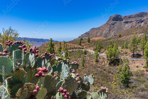 Mountain landscape of Canary island Gran Canaria