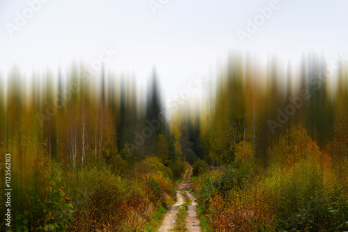 autumn rural landscape with road and colorful trees