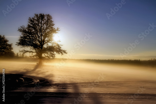 WINTER LANDSCAPE WITH FOG