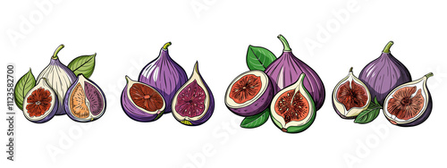 Fresh, ripe, purple whole and half fig fruit, standing in a sketch style, isolated on a transparent background.