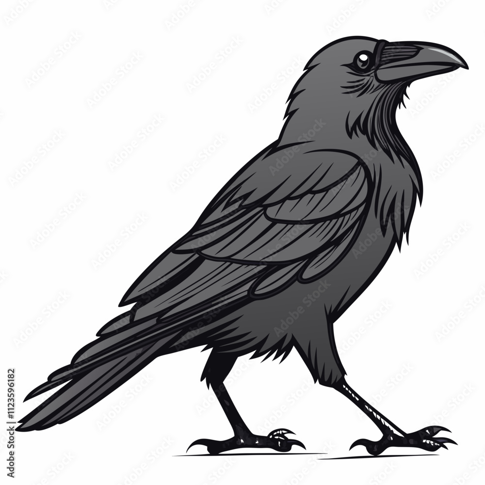 Fototapeta premium magpie bird