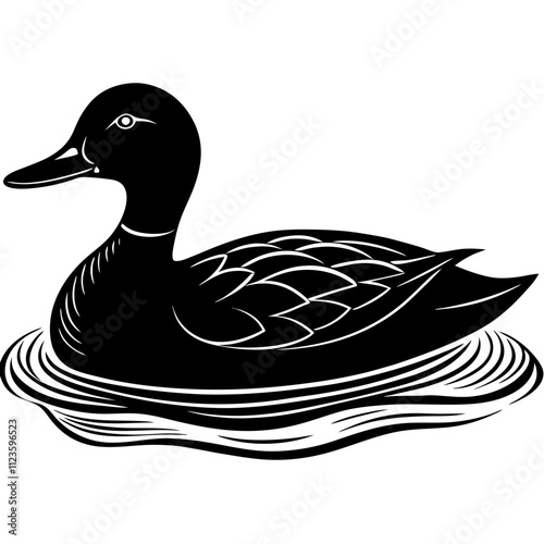 gadwall bird