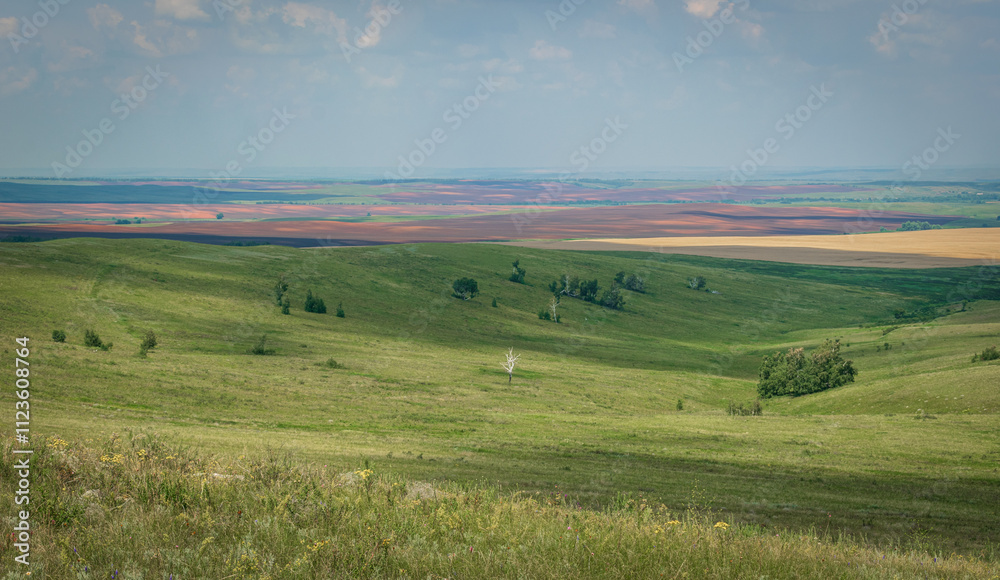 Fototapeta premium Summer fields and hills