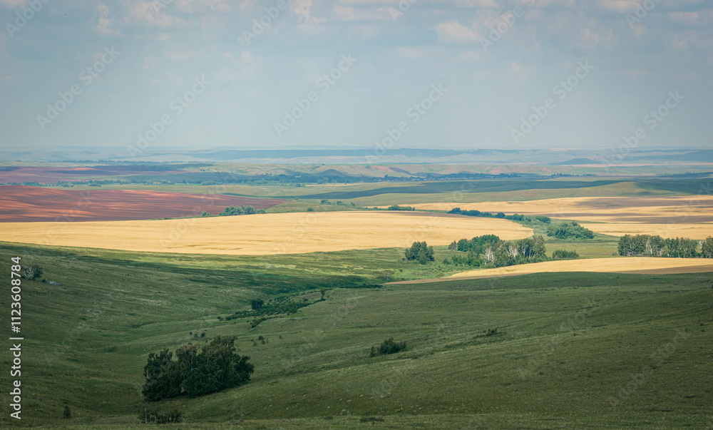 Fototapeta premium Summer fields and hills