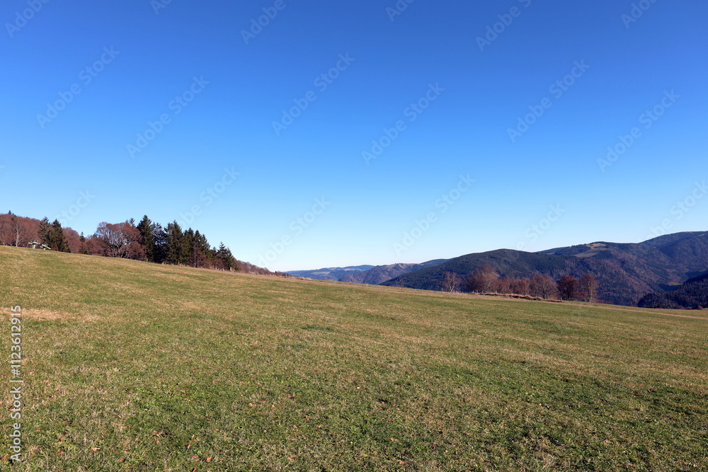 Fototapeta premium Herbstlandschaft auf dem Schauinsland bei Freiburg