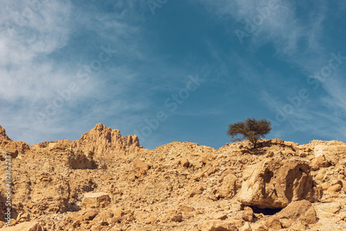 Wadi Arugot National Park is a desolate rocky landscape photo