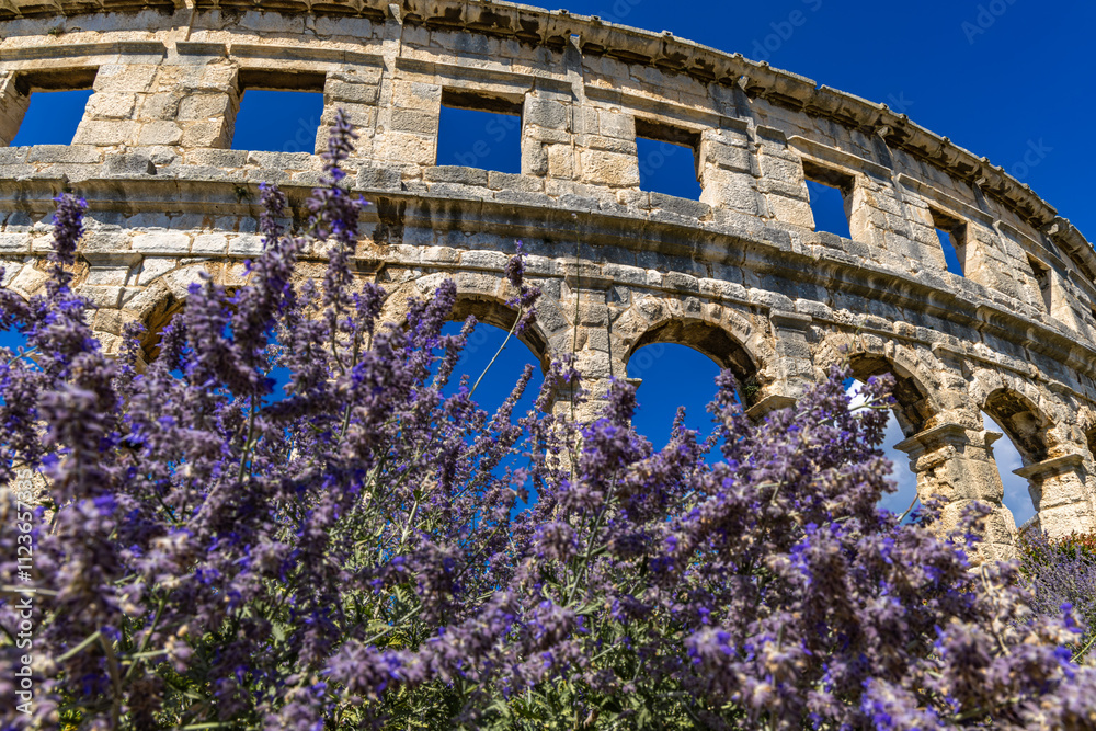 Obraz premium Amphitheater arena for gladiator fights in Pula