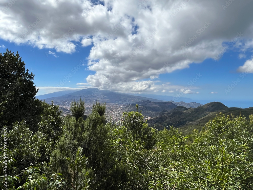 Fototapeta premium Teide