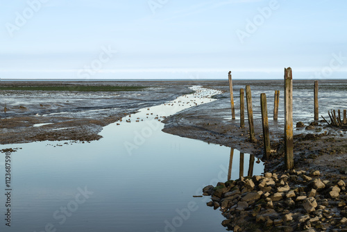 Derelict harbor - harbor of Sil, near De Cocksdorp on the Wadden Sea of ​​Texel. photo