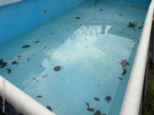 Garden pool in winter with leaves and dirt on the ground