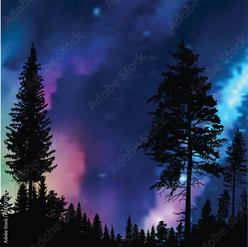 dark pine forest at colored cloudly night photo