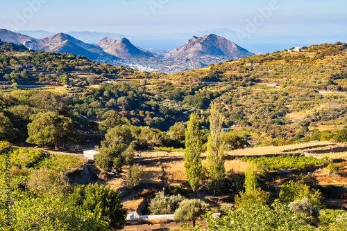 Fototapeta Naklejka Na Ścianę i Meble -  View of mountain farming landscape and sea, Naxos island, Cyclades, Greece