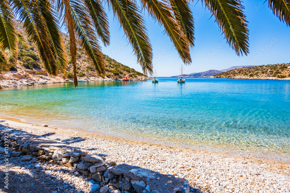 Palm trees leaves shade on idyllic Panormos beach, Naxos island, Cyclades, Greece