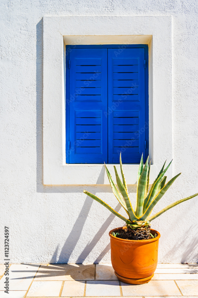 Flower pot against white wall of a typical Greek house with blue window, Naxos island, Cyclades, Greece