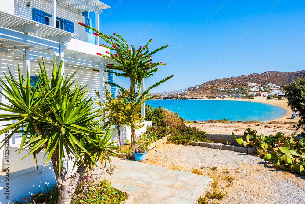 Typical Greek style apartments decorated with tropical plants in Orkos bay, Naxos island, Cyclades, Greece