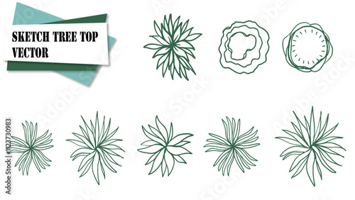 sketch tree top vector