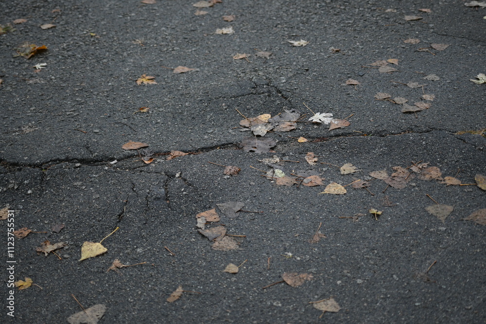 Obraz premium Cracks on grey asphalt close-up, old cracked asphalt close-up, old road surface bitumen 