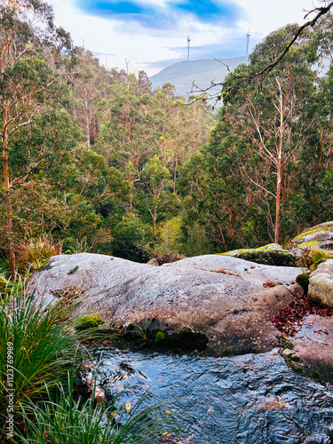 River in the forest and a small waterfall