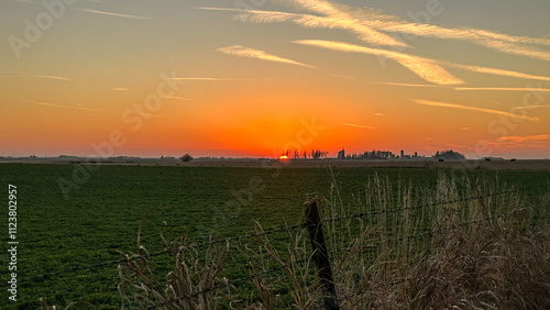 Alfalfa Field In The Sunset, Late Fall in the Midwest photo