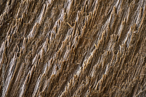 Close-up texture of rough wooden surface with visible fibers and splinters detailed macro shot of natural wood grain pattern suitable for backgrounds or textures