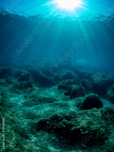 Sunlight beams penetrate the clear ocean water, illuminating an underwater landscape of rocky formations covered in algae. The serene scene highlights the vibrant beauty of the marine world.